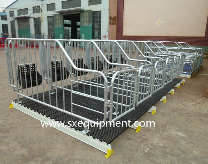 Pig Gestation Crate