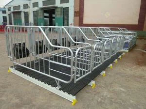 Pig-genereerde Crate Met feeder